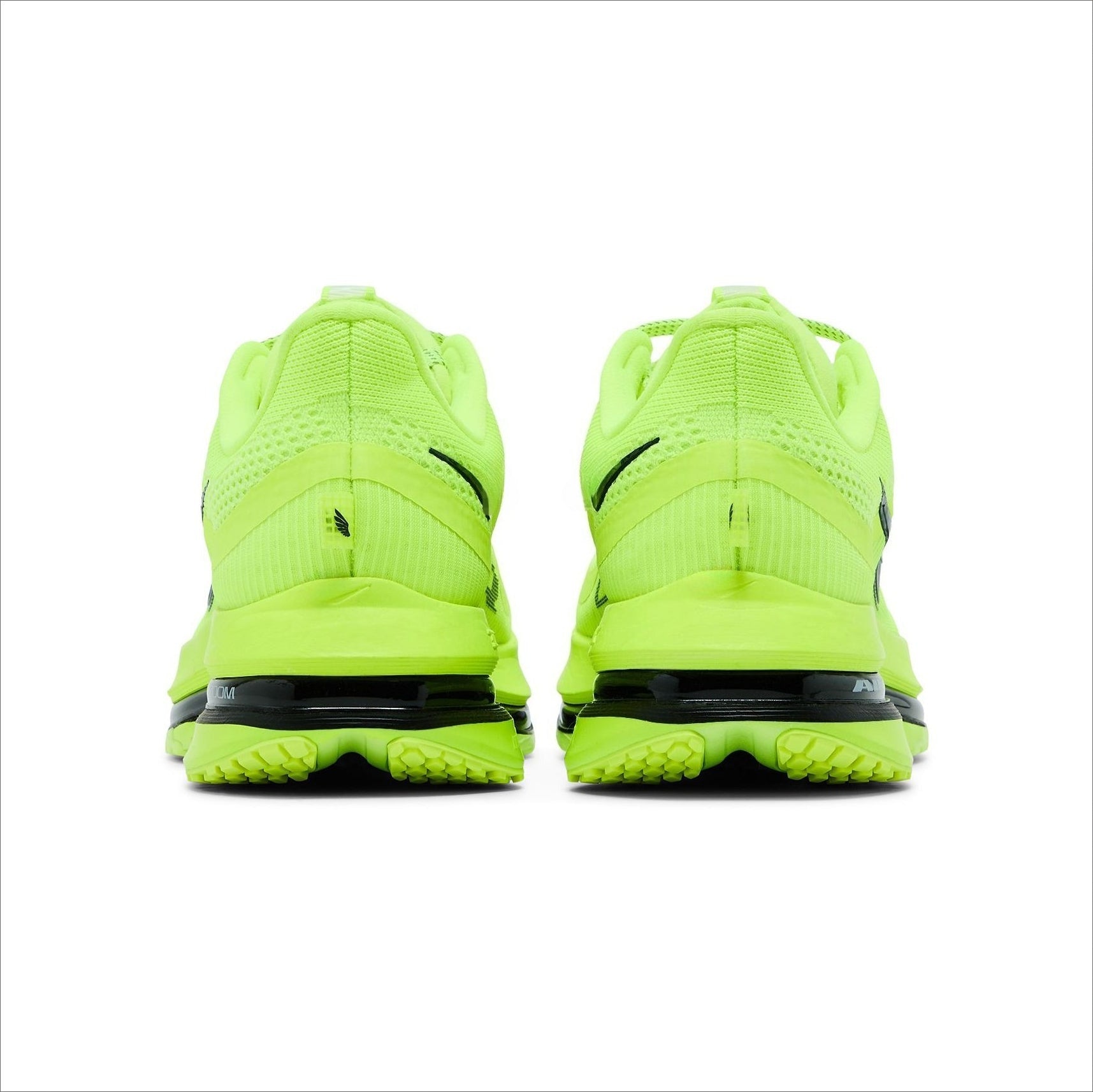 Pegasus Premium Volt