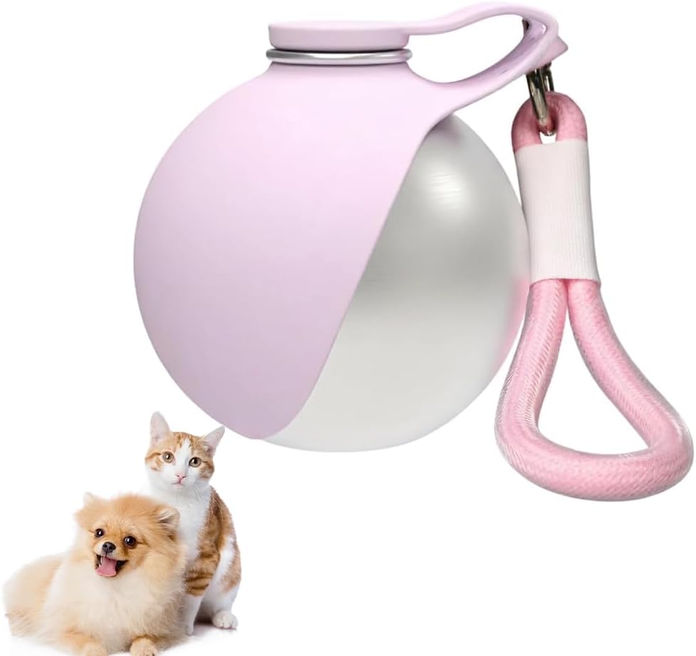 285ml Stainless Steel Pet Water Bottle