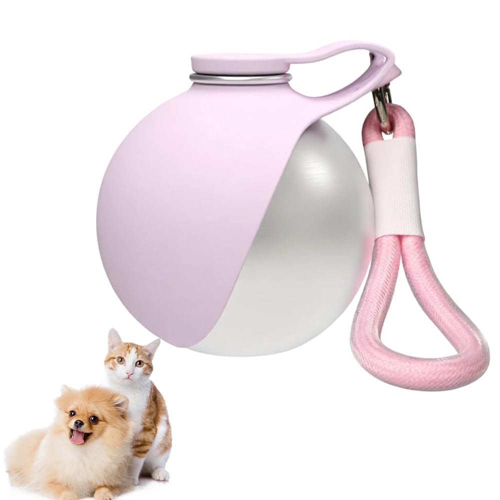 285ml Stainless Steel Pet Water Bottle