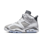 Jordan 6 Cool Grey