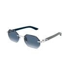CT0439S LUXURY SUNGLASSES